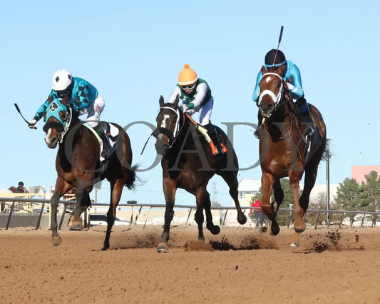 COUNTRY CLUB CRUSH - New Mexico Classic Lassie Stakes - 11-24-25 - R07 - Zia Park - Under Rail - Coady Media - Kurtis Coady Photography