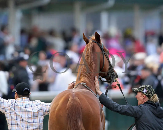 Country House - The Kentucky Derby 145Th Running 05-04-19 R12 Cd Celebration 02 Churchill Downs