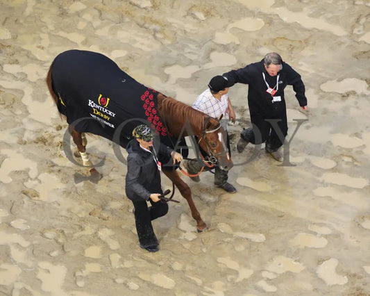 Country House - The Kentucky Derby 145Th Running 05-04-19 R12 Cd Cooler 01 Churchill Downs