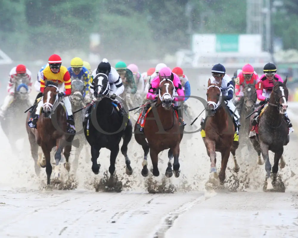 Country House - The Kentucky Derby 145Th Running 05-04-19 R12 Cd First Turn 02 Churchill Downs