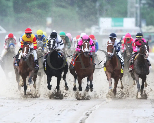 Country House - The Kentucky Derby 145Th Running 05-04-19 R12 Cd First Turn 02 Churchill Downs