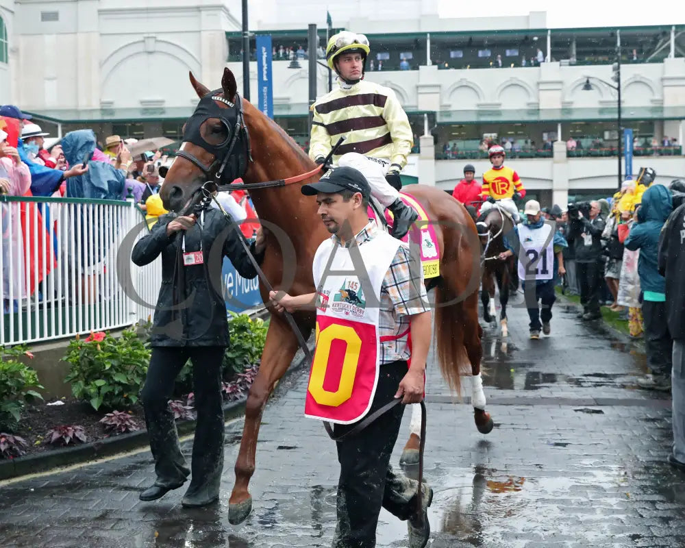 Country House - The Kentucky Derby 145Th Running 05-04-19 R12 Cd Paddock 04 Churchill Downs