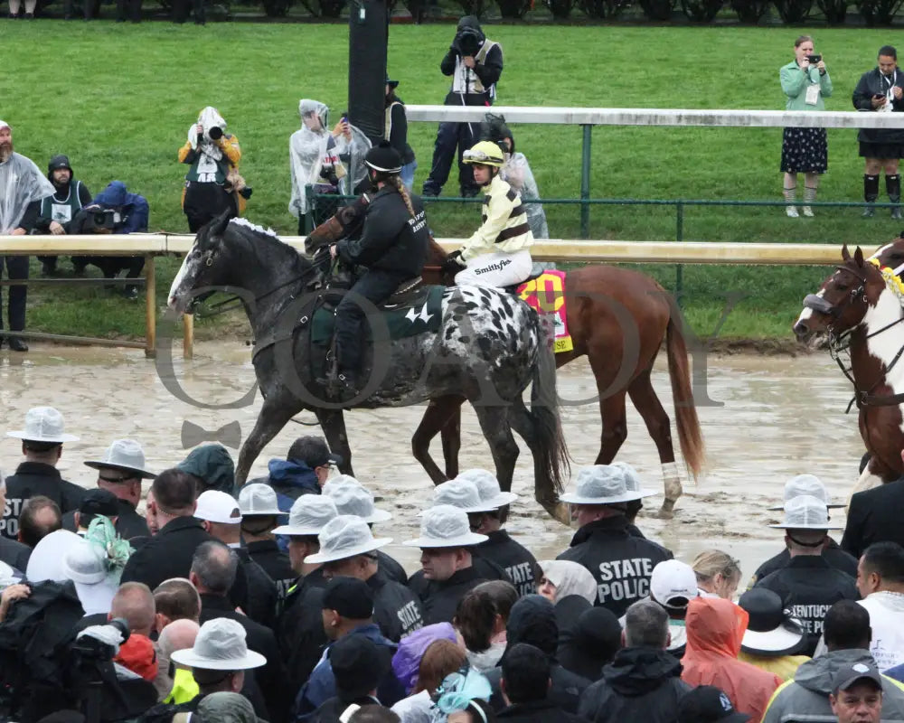 Country House - The Kentucky Derby 145Th Running 05-04-19 R12 Cd Post Parade 03 Churchill Downs