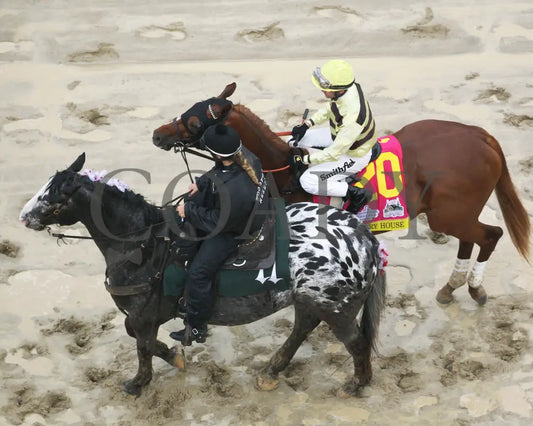 Country House - The Kentucky Derby 145Th Running 05-04-19 R12 Cd Post Parade 04 Churchill Downs
