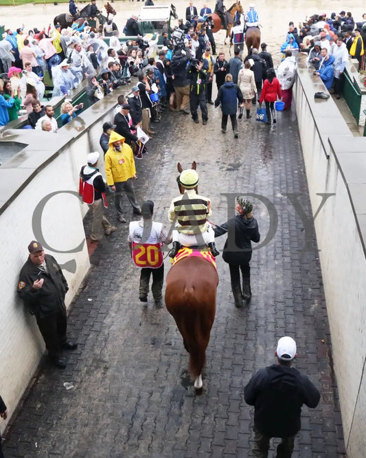 Country House - The Kentucky Derby 145Th Running 05-04-19 R12 Cd Tunnel 01 Churchill Downs