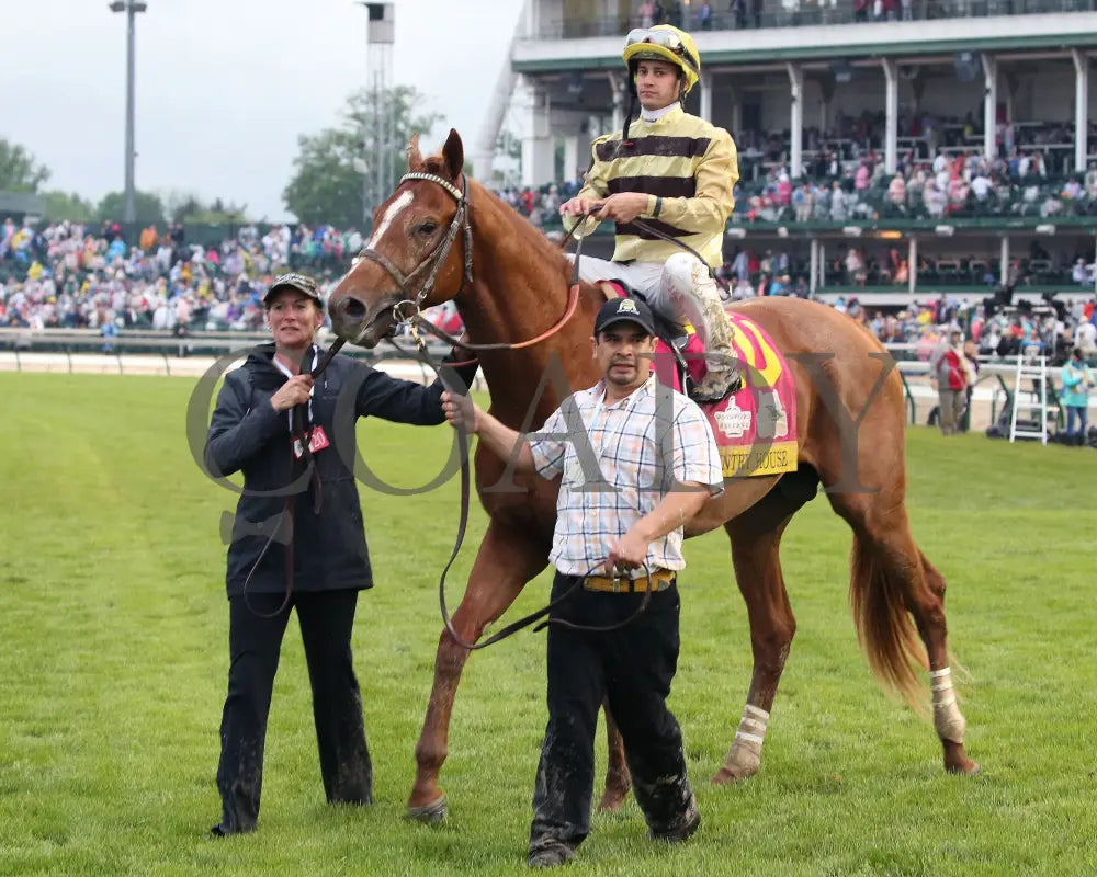 Country House - The Kentucky Derby 145Th Running 05-04-19 R12 Cd Walk In 01 Churchill Downs