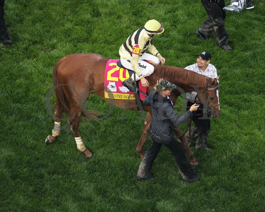 Country House - The Kentucky Derby 145Th Running 05-04-19 R12 Cd Walk In 03 Churchill Downs