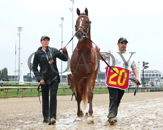 Country House - The Kentucky Derby 145Th Running 05-04-19 R12 Cd Walk Over 01 Churchill Downs