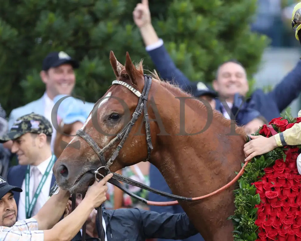 Country House - The Kentucky Derby 145Th Running 05-04-19 R12 Cd Winners Circle 01 Churchill Downs