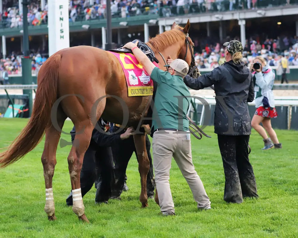 Country House - The Kentucky Derby 145Th Running 05-04-19 R12 Cd Winners Circle Saddling 01