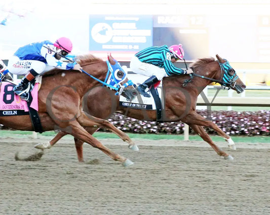 Cowboy On The Fly - Governors Stake Final 10-26-24 R12 Horseshoe Indiana Finish 01 Sammantha Pagels