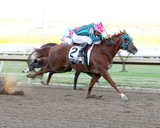 Cowboy On The Fly - Governors Stake Final 10-26-24 R12 Horseshoe Indiana Finish 02 Devin Hall Grand