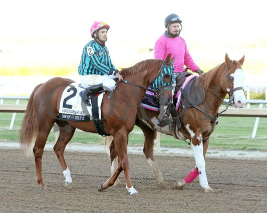 Cowboy On The Fly - Governors Stake Final 10-26-24 R12 Horseshoe Indiana Post Parade 01 Devin Hall