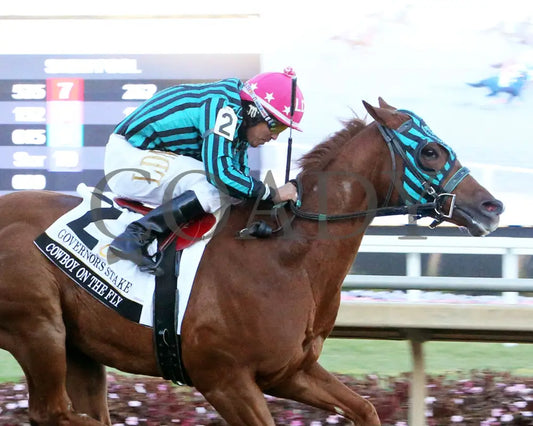 Cowboy On The Fly - Governors Stake Final 10-26-24 R12 Horseshoe Indiana Tight Finish 01 Devin Hall