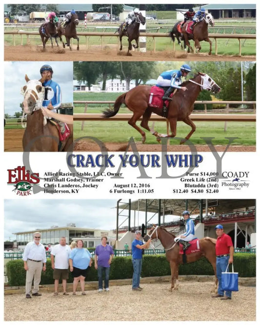 Crack Your Whip - 081216 Race 02 Elp Ellis Park