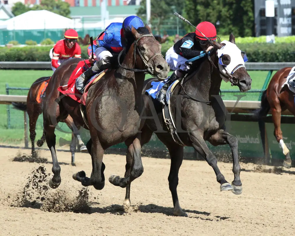 Crafty Daddy - Opening Verse Overnight Stakes 14Th Running 09-03-20 R08 Cd Finish 02 Churchill Downs