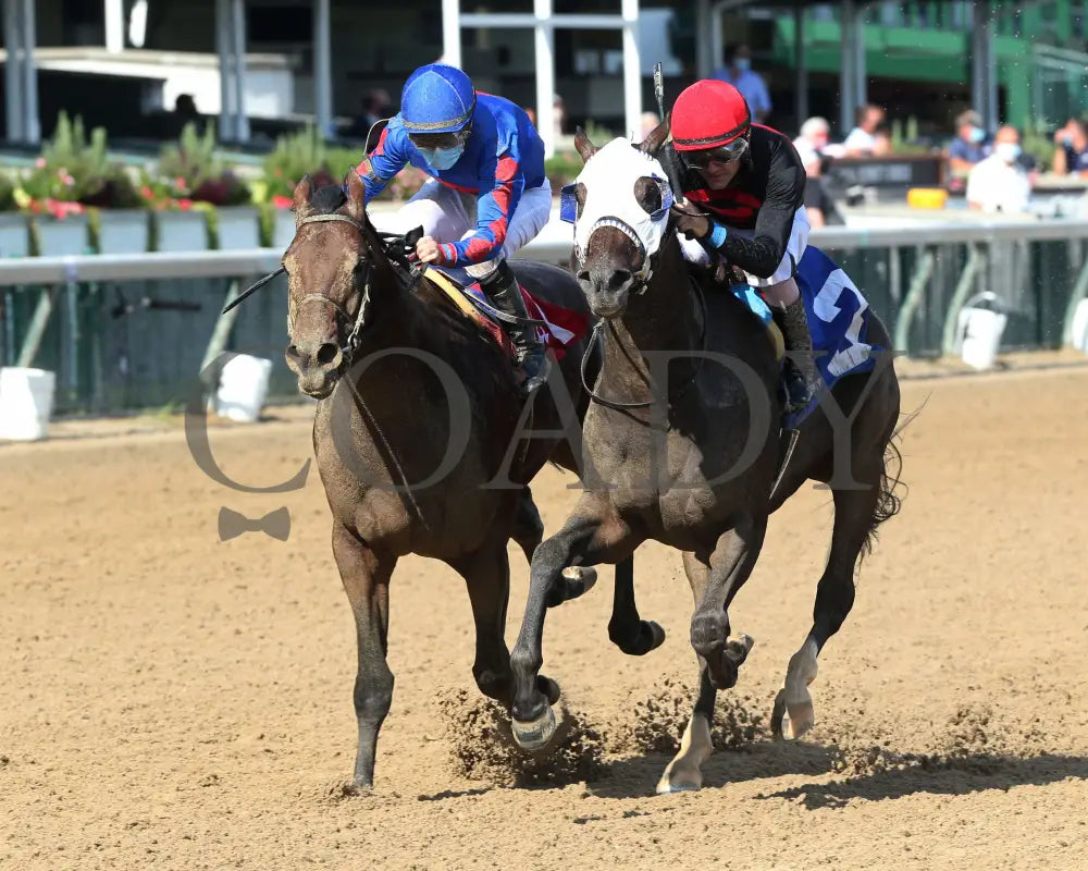 Crafty Daddy - Opening Verse Overnight Stakes 14Th Running 09-03-20 R08 Cd Inside Finish 01