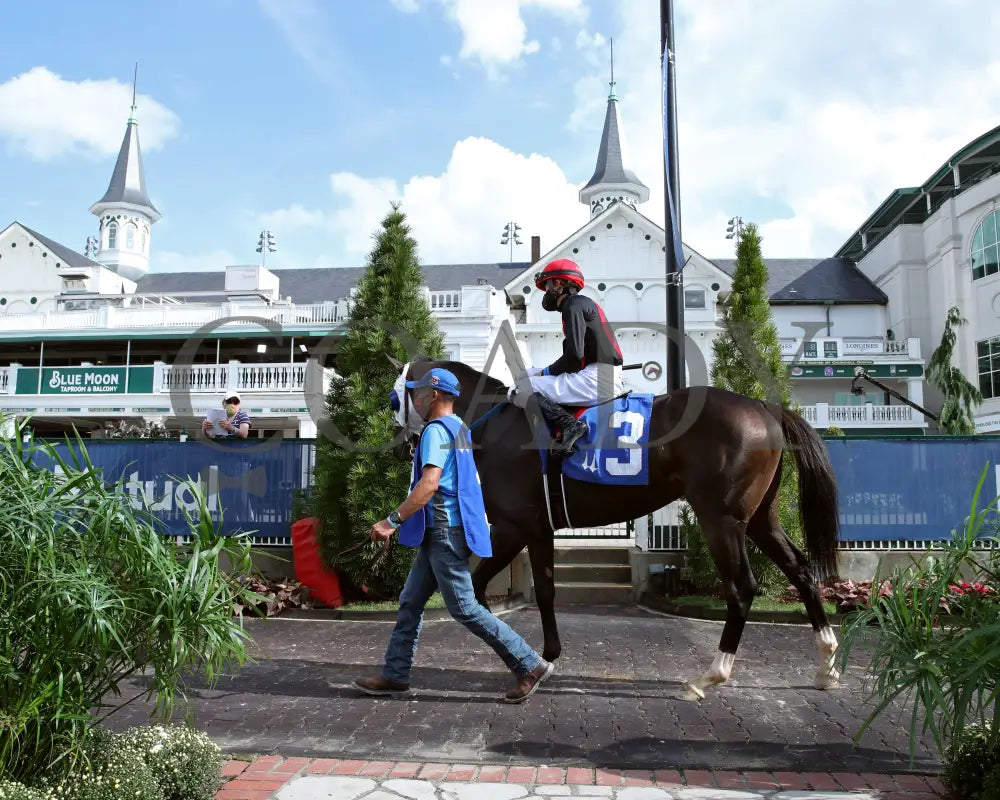 Crafty Daddy - Opening Verse Overnight Stakes 14Th Running 09-03-20 R08 Cd Paddock 01 Churchill