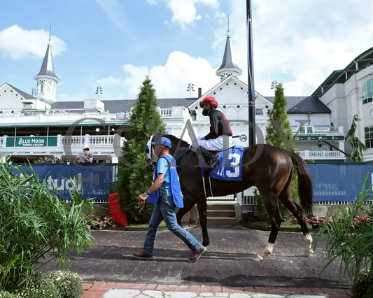 Crafty Daddy - Opening Verse Overnight Stakes 14Th Running 09-03-20 R08 Cd Paddock 01 Churchill