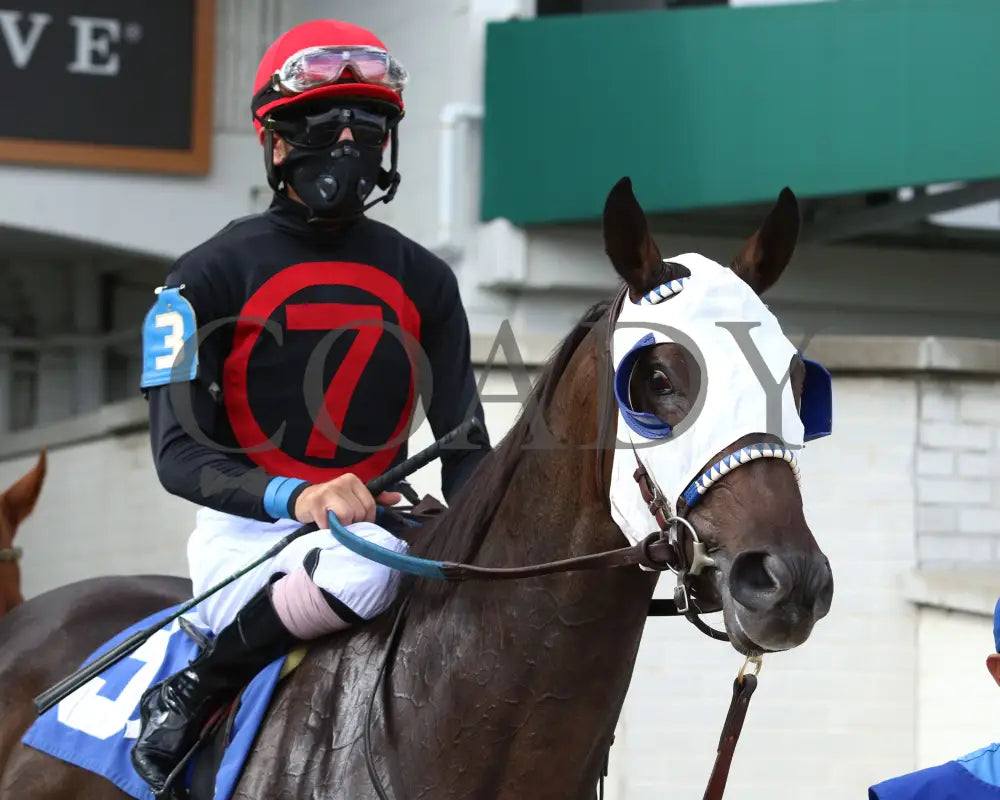 Crafty Daddy - Opening Verse Overnight Stakes 14Th Running 09-03-20 R08 Cd Paddock 03 Churchill