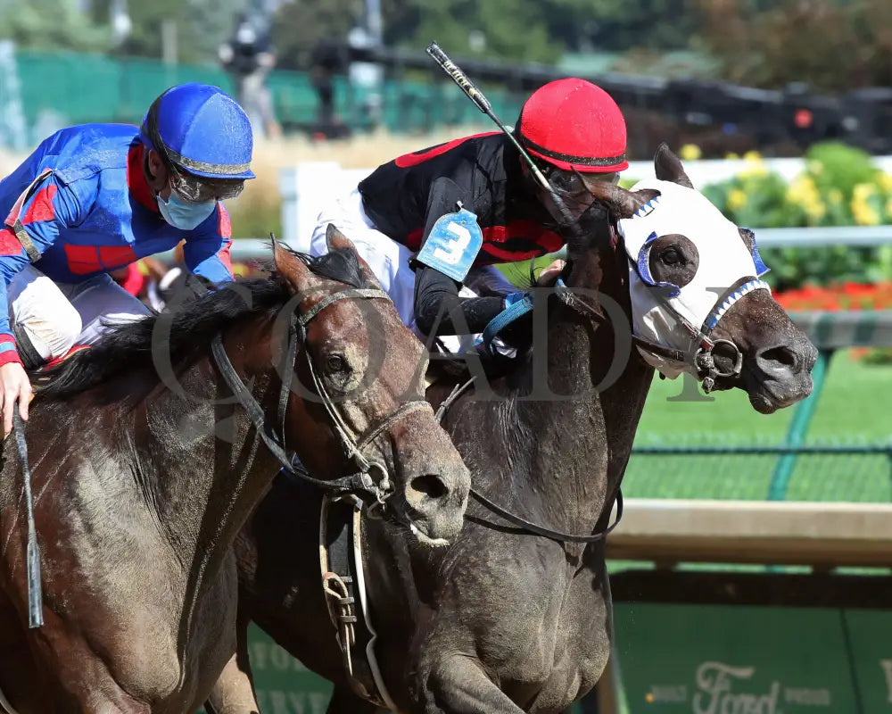 Crafty Daddy - Opening Verse Overnight Stakes 14Th Running 09-03-20 R08 Cd Tight Finish 02