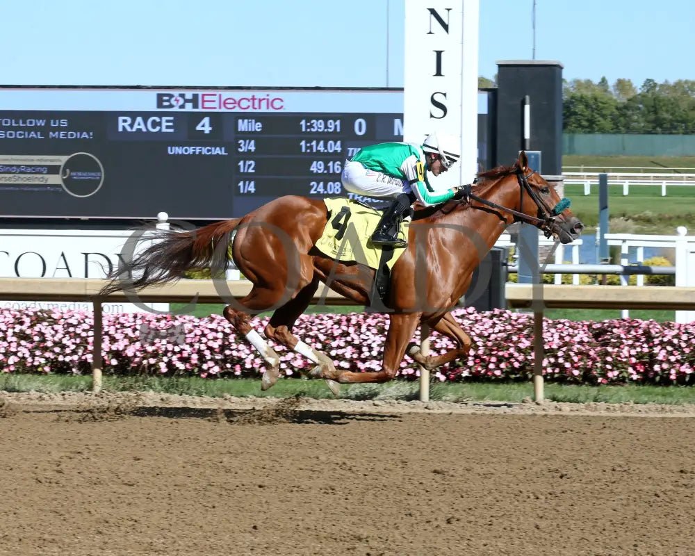 Crosley - Itoba Stallion Season Fillies 10-02-24 R04 Horseshoe Indiana Finish 01 Sammantha Pagels