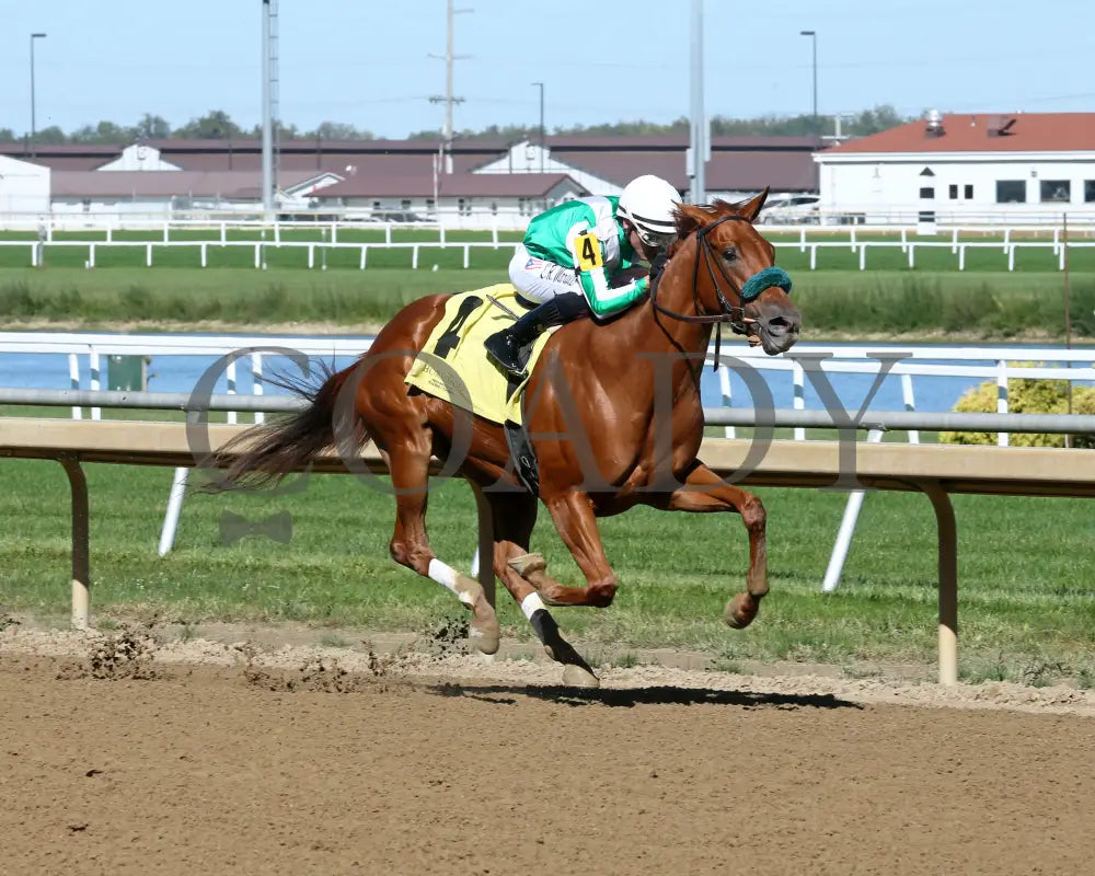 Crosley - Itoba Stallion Season Fillies 10-02-24 R04 Horseshoe Indiana Finish 02 Sammantha Pagels