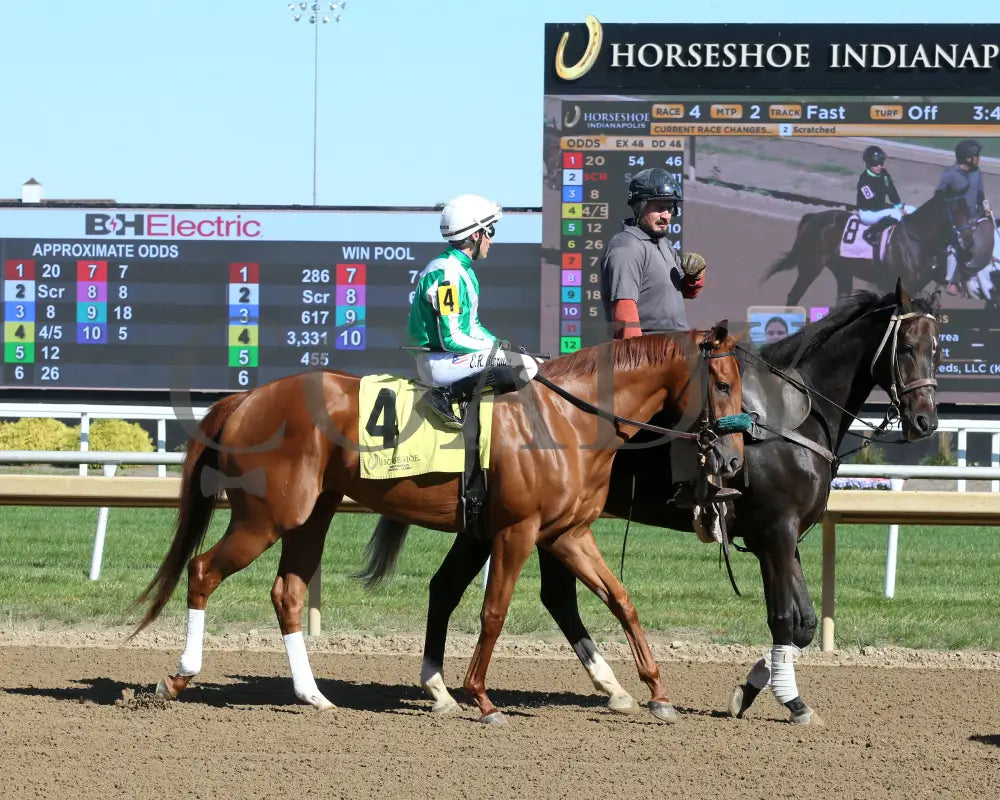 Crosley - Itoba Stallion Season Fillies 10-02-24 R04 Horseshoe Indiana Post Parade 01 Sammantha