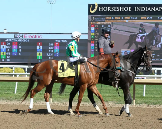 Crosley - Itoba Stallion Season Fillies 10-02-24 R04 Horseshoe Indiana Post Parade 01 Sammantha