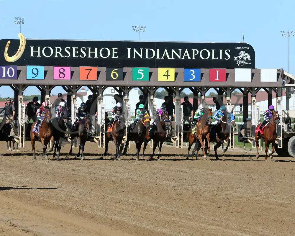 Crosley - Itoba Stallion Season Fillies 10-02-24 R04 Horseshoe Indiana Start 01 Sammantha Pagels