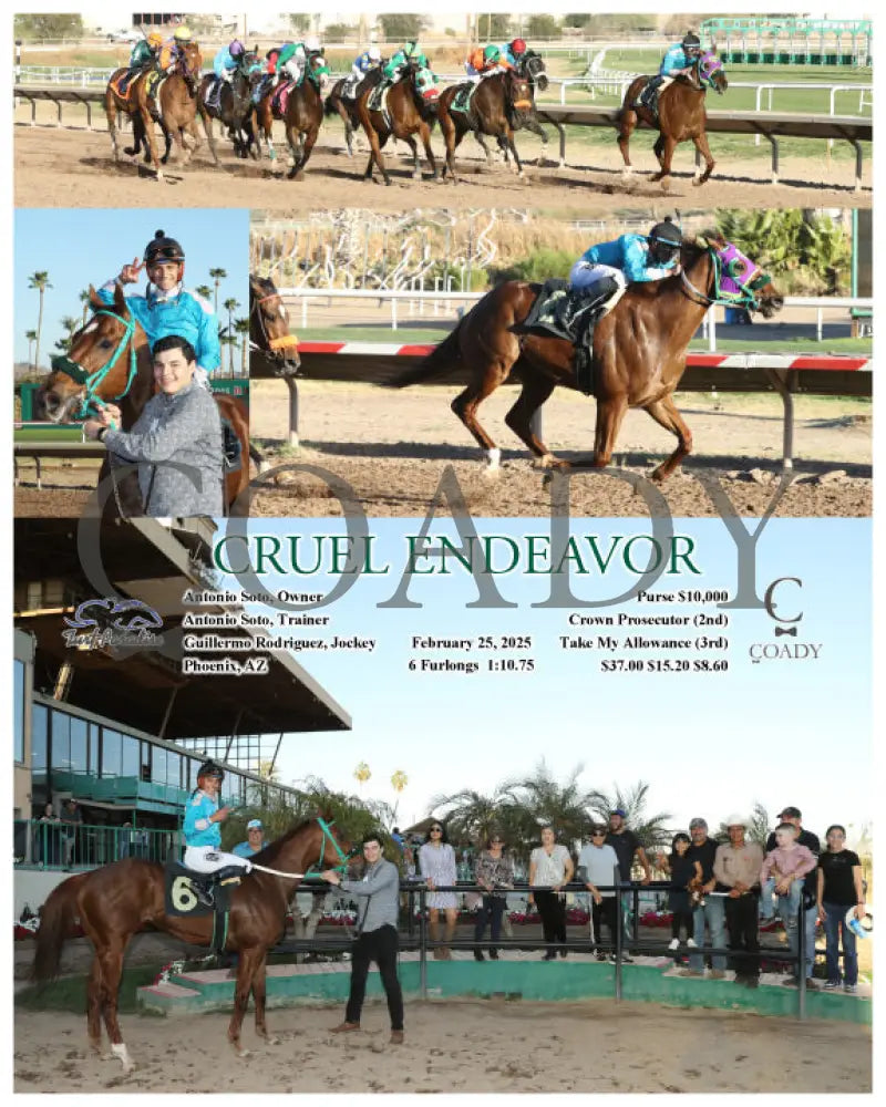 CRUEL ENDEAVOR - 02-25-25 - R09 - TUP Turf Paradise