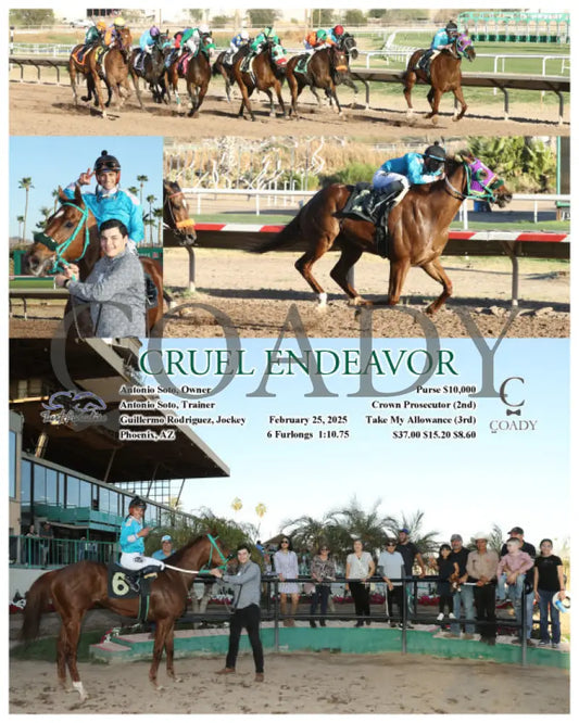 CRUEL ENDEAVOR - 02-25-25 - R09 - TUP Turf Paradise