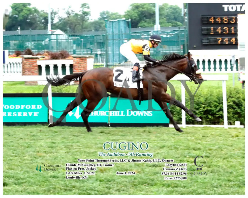 Cugino - The Audubon 5Th Running 06-01-24 R11 Cd Action Churchill Downs