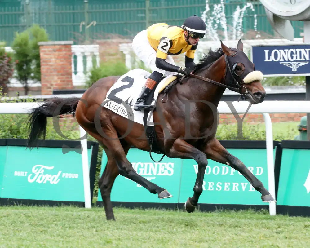 Cugino - The Audubon 5Th Running 06-01-24 R11 Cd Finish 02 Churchill Downs