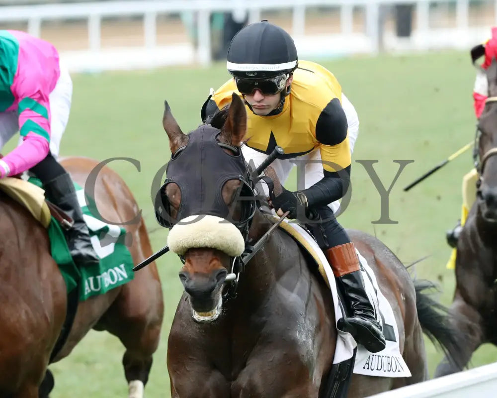 Cugino - The Audubon 5Th Running 06-01-24 R11 Cd Inside First Pass 01 Churchill Downs