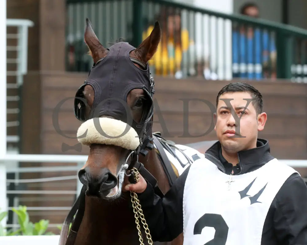 Cugino - The Audubon 5Th Running 06-01-24 R11 Cd Paddock 01 Churchill Downs