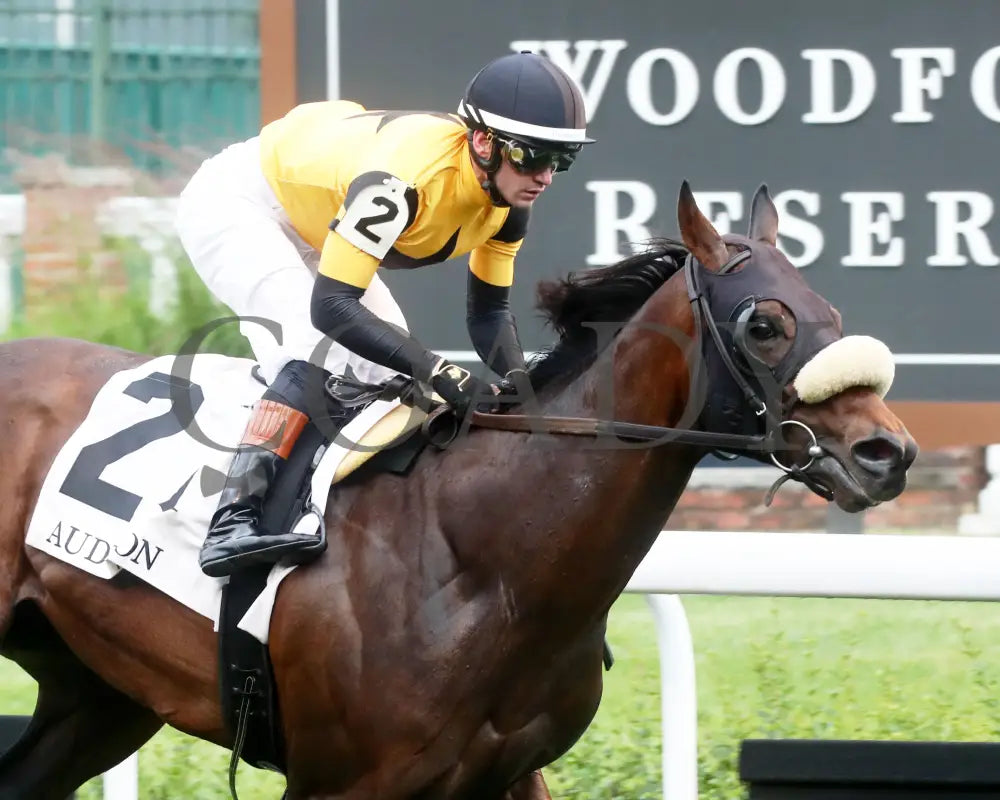 Cugino - The Audubon 5Th Running 06-01-24 R11 Cd Finish 02 Churchill Downs