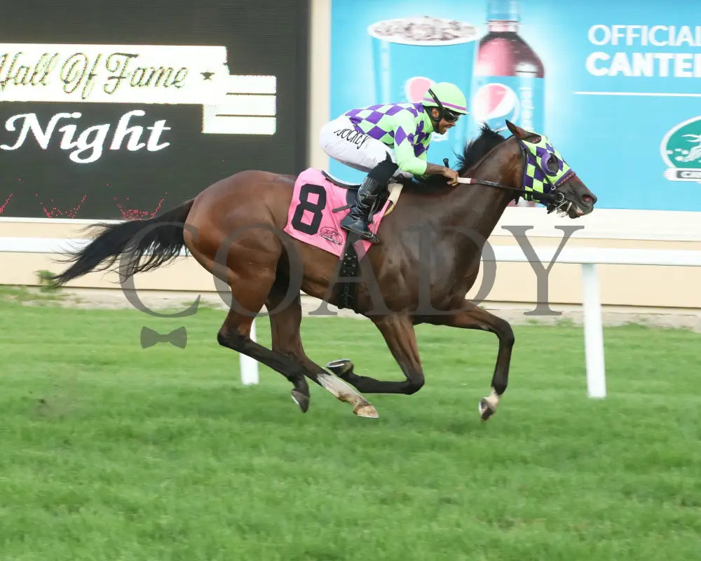 Cupids Crush - Mr Dale Filly & Mare Turf Sprint 07-13-24 R07 Canterbury Park Finish