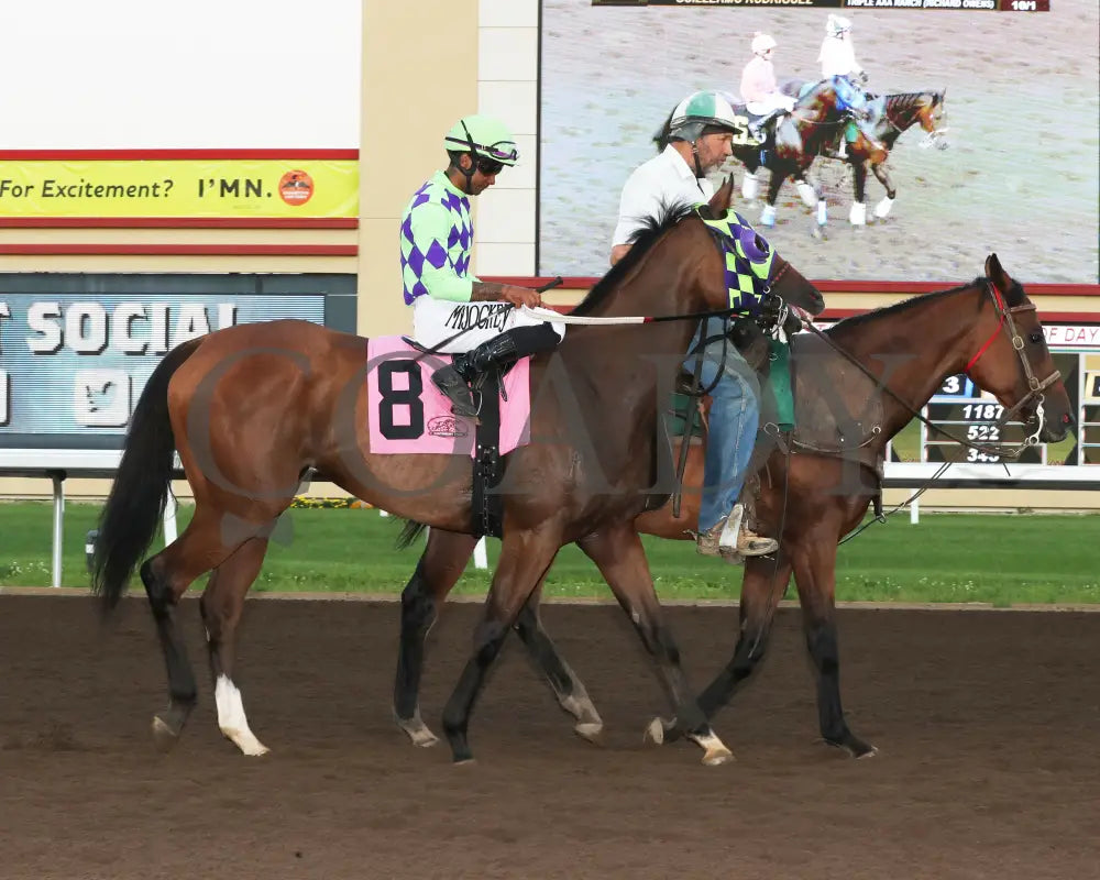 Cupids Crush - Mr Dale Filly & Mare Turf Sprint 07-13-24 R07 Canterbury Park Post Parade