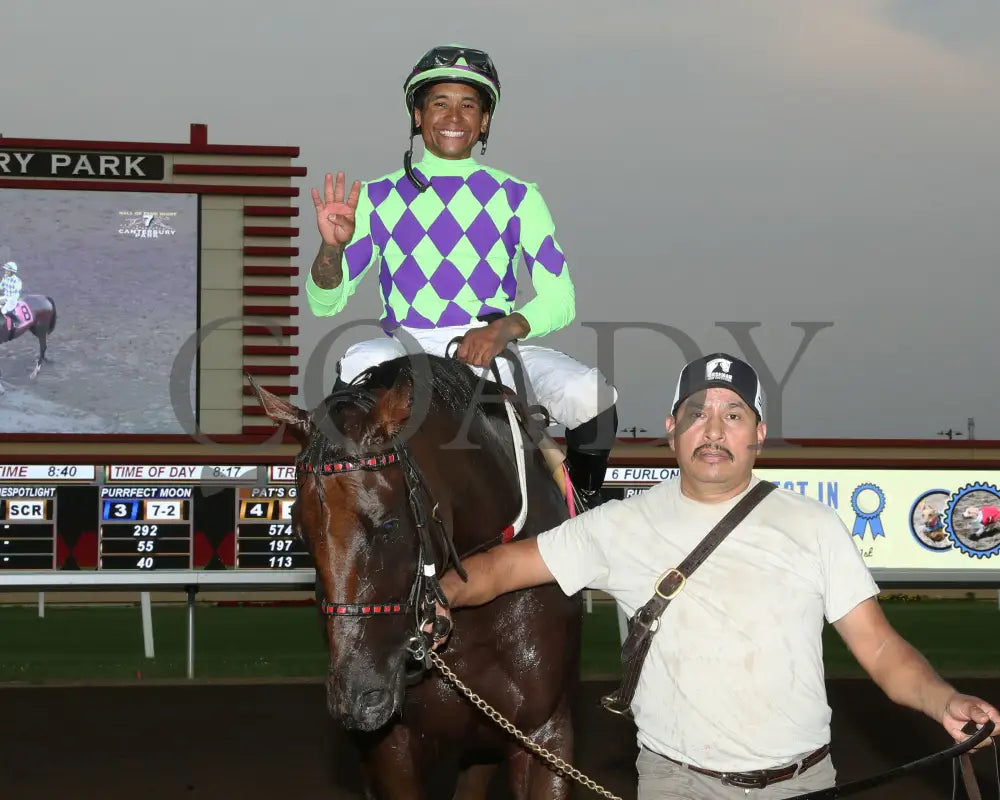 Cupids Crush - Mr Dale Filly & Mare Turf Sprint 07-13-24 R07 Canterbury Park Return Shot