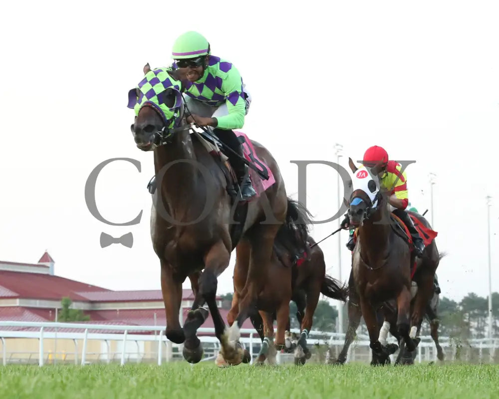 Cupids Crush - Mr Dale Filly & Mare Turf Sprint 07-13-24 R07 Canterbury Park Under Rail