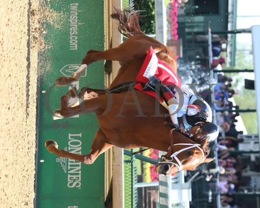 Curalina - 050616 Race 06 008 Churchill Downs