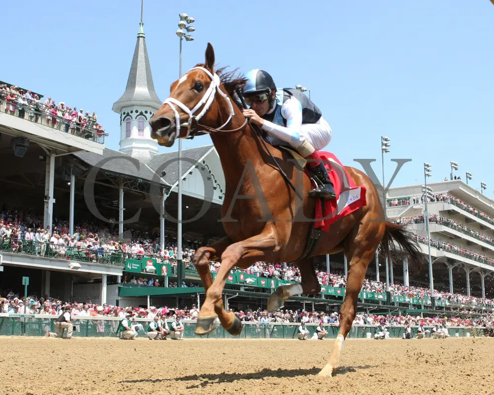 Curalina - 050616 Race 06 010 Churchill Downs