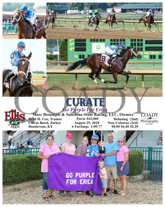 Curate - 082518 Race 08 Elp Group Ellis Park