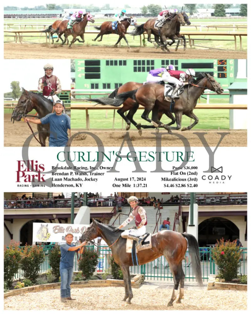 Curlin’s Gesture - 08-17-24 R06 Elp Ellis Park
