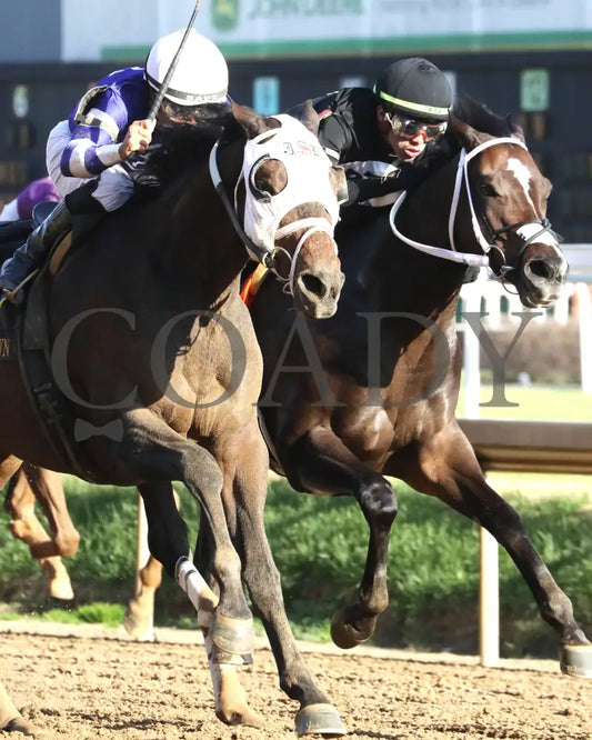 CURLIN'S MALIBU - The Iron Horse - 11-15-25 - R06 - CD - Finish 03 - Coady Media - Kurtis Coady Photography