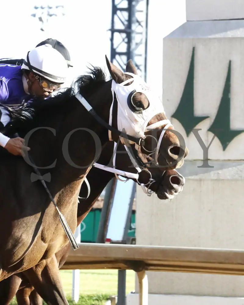 CURLIN'S MALIBU - The Iron Horse - 11-15-25 - R06 - CD - Finish 04 - Coady Media - Kurtis Coady Photography