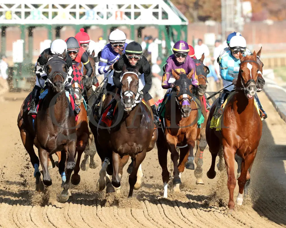 CURLIN'S MALIBU - The Iron Horse - 11-15-25 - R06 - CD - First Turn 01 - Coady Media - Kurtis Coady Photography