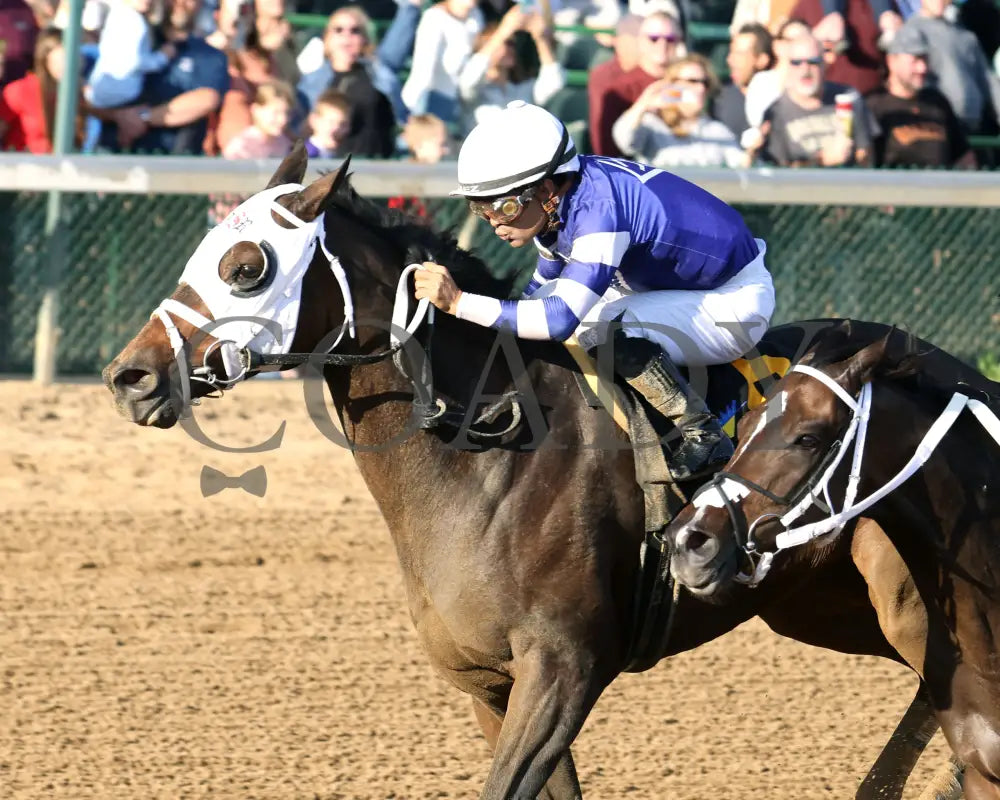 CURLIN'S MALIBU - The Iron Horse - 11-15-25 - R06 - CD - Inside Finish 01 - Coady Media - Kurtis Coady Photography