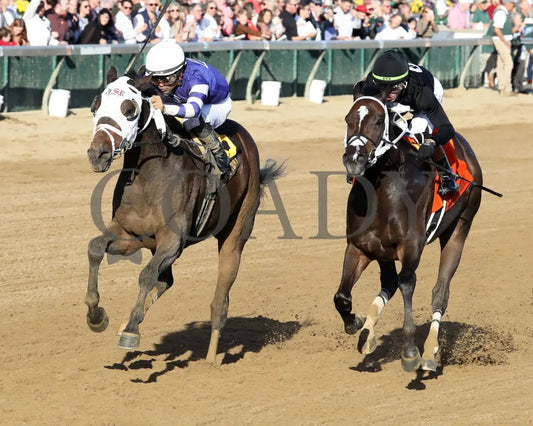 CURLIN'S MALIBU - The Iron Horse - 11-15-25 - R06 - CD - Inside Finish 02 - Coady Media - Kurtis Coady Photography